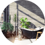 Biophilic interior design